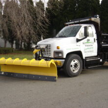 Fisher 10` MC Snow Plow