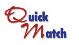 Western Quick Match snow plow selector